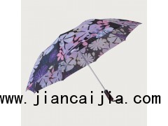 广东广告伞
