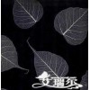 树叶墙纸-上海南京北京合肥天津重庆广州深圳杭州成都