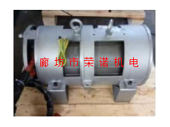 SB油浸式电机 18.5KW 4级 SBBL4P300